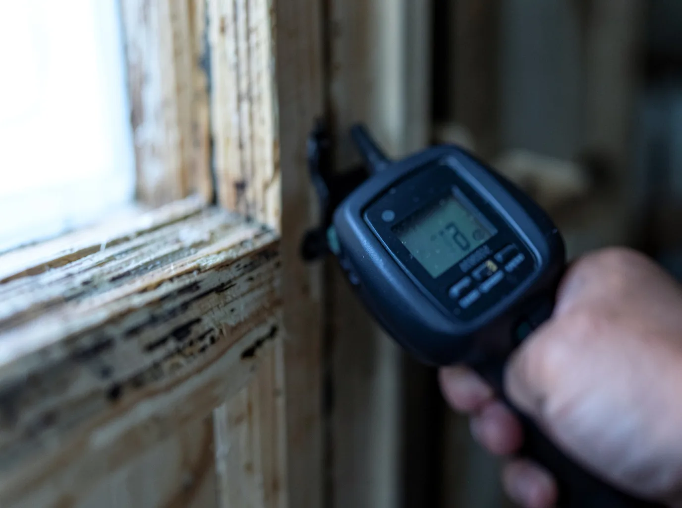 Water Damage Restoration Homosassa, FL FAQs